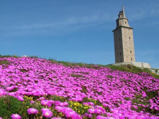 Casa De Turismo Rural Os Petroglifos Бойро Екстериор снимка