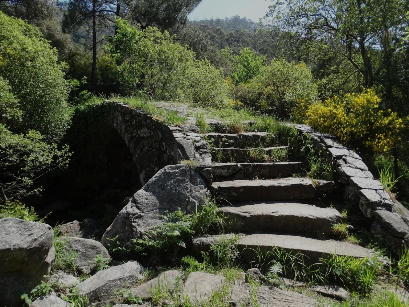 Casa De Turismo Rural Os Petroglifos Бойро Екстериор снимка